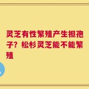 灵芝有性繁殖产生担孢子？松杉灵芝能不能繁殖