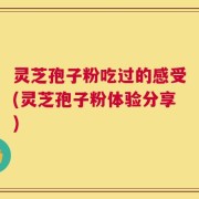 灵芝孢子粉吃过的感受(灵芝孢子粉体验分享)