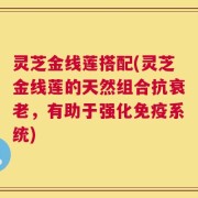 灵芝金线莲搭配(灵芝金线莲的天然组合抗衰老，有助于强化免疫系统)