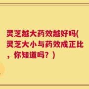 灵芝越大药效越好吗(灵芝大小与药效成正比，你知道吗？)