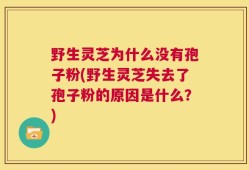 野生灵芝为什么没有孢子粉(野生灵芝失去了孢子粉的原因是什么？)