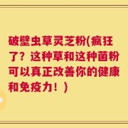 破壁虫草灵芝粉(疯狂了？这种草和这种菌粉可以真正改善你的健康和免疫力！)