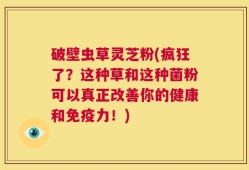 破壁虫草灵芝粉(疯狂了？这种草和这种菌粉可以真正改善你的健康和免疫力！)