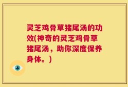 灵芝鸡骨草猪尾汤的功效(神奇的灵芝鸡骨草猪尾汤，助你深度保养身体。)