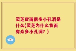 灵芝背面很多小孔洞是什么(灵芝为什么背面有众多小孔洞？)