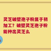 灵芝破壁孢子粉属于初加工？破壁灵芝孢子粉能种出灵芝么