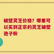 破壁灵芝价格？哪里可以买到正宗的灵芝破壁孢子粉