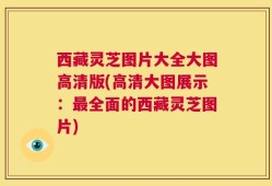西藏灵芝图片大全大图高清版(高清大图展示：最全面的西藏灵芝图片)