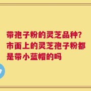 带孢子粉的灵芝品种？市面上的灵芝孢子粉都是带小蓝帽的吗