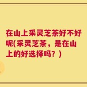 在山上采灵芝茶好不好呢(采灵芝茶，是在山上的好选择吗？)