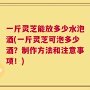 一斤灵芝能放多少水泡酒(一斤灵芝可泡多少酒？制作方法和注意事项！)