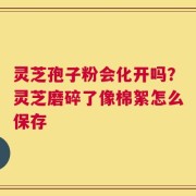 灵芝孢子粉会化开吗？灵芝磨碎了像棉絮怎么保存