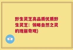 野生灵芝高品质优质野生灵芝：领略自然之灵的瑰丽奇观)