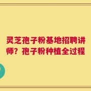 灵芝孢子粉基地招聘讲师？孢子粉种植全过程