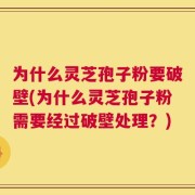 为什么灵芝孢子粉要破壁(为什么灵芝孢子粉需要经过破壁处理？)