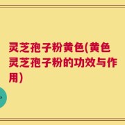 灵芝孢子粉黄色(黄色灵芝孢子粉的功效与作用)