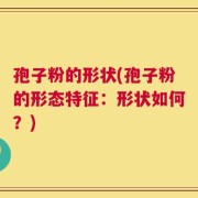 孢子粉的形状(孢子粉的形态特征：形状如何？)