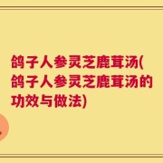 鸽子人参灵芝鹿茸汤(鸽子人参灵芝鹿茸汤的功效与做法)