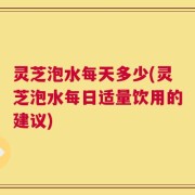 灵芝泡水每天多少(灵芝泡水每日适量饮用的建议)