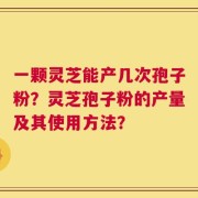 一颗灵芝能产几次孢子粉？灵芝孢子粉的产量及其使用方法？