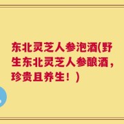 东北灵芝人参泡酒(野生东北灵芝人参酿酒，珍贵且养生！)