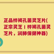 正品桦褐孔菌灵芝片(正宗灵芝丨桦褐孔菌灵芝片，润肺保健神器)