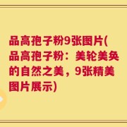 品高孢子粉9张图片(品高孢子粉：美轮美奂的自然之美，9张精美图片展示)