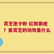 灵芝孢子粉 红斑狼疮？紫灵芝的功效是什么