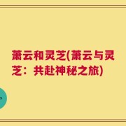 萧云和灵芝(萧云与灵芝：共赴神秘之旅)
