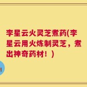 李星云火灵芝煮药(李星云用火炼制灵芝，煮出神奇药材！)