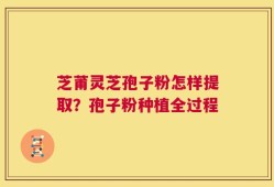 芝莆灵芝孢子粉怎样提取？孢子粉种植全过程