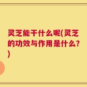 灵芝能干什么呢(灵芝的功效与作用是什么？)