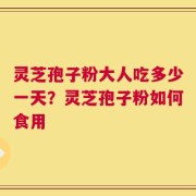 灵芝孢子粉大人吃多少一天？灵芝孢子粉如何食用