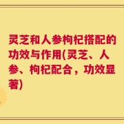 灵芝和人参枸杞搭配的功效与作用(灵芝、人参、枸杞配合，功效显著)