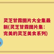 灵芝甘露图片大全集最新(灵芝甘露图片集：完美的灵芝美食系列)