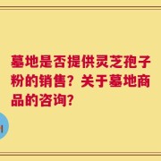 墓地是否提供灵芝孢子粉的销售？关于墓地商品的咨询？