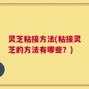 灵芝粘接方法(粘接灵芝的方法有哪些？)