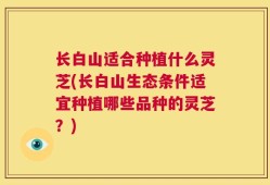 长白山适合种植什么灵芝(长白山生态条件适宜种植哪些品种的灵芝？)