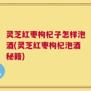 灵芝红枣枸杞子怎样泡酒(灵芝红枣枸杞泡酒秘籍)