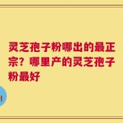 灵芝孢子粉哪出的最正宗？哪里产的灵芝孢子粉最好