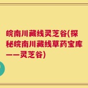 皖南川藏线灵芝谷(探秘皖南川藏线草药宝库——灵芝谷)