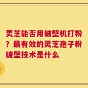 灵芝能否用破壁机打粉？最有效的灵芝孢子粉破壁技术是什么