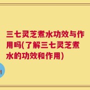 三七灵芝煮水功效与作用吗(了解三七灵芝煮水的功效和作用)