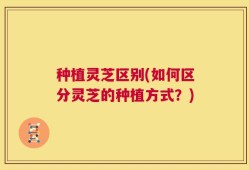 种植灵芝区别(如何区分灵芝的种植方式？)
