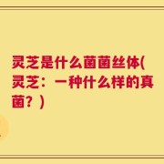 灵芝是什么菌菌丝体(灵芝：一种什么样的真菌？)
