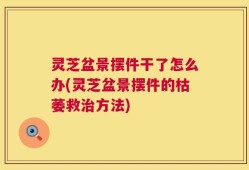 灵芝盆景摆件干了怎么办(灵芝盆景摆件的枯萎救治方法)