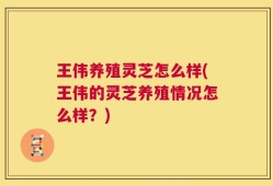 王伟养殖灵芝怎么样(王伟的灵芝养殖情况怎么样？)