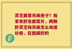 灵芝鹿茸天麻孢子？我家有野生鹿茸片，两颗野灵芝和天麻怎么知道价格，在西藏挖的