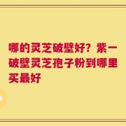 哪的灵芝破壁好？紫一破壁灵芝孢子粉到哪里买最好