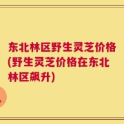 东北林区野生灵芝价格(野生灵芝价格在东北林区飙升)